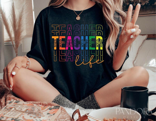 Rainbow Teacher Life